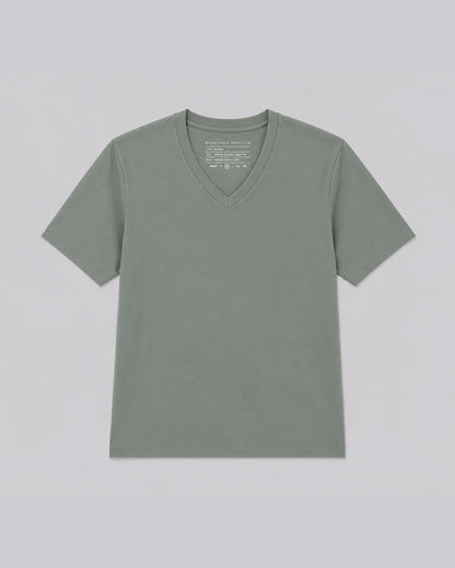 #color_castor-grey