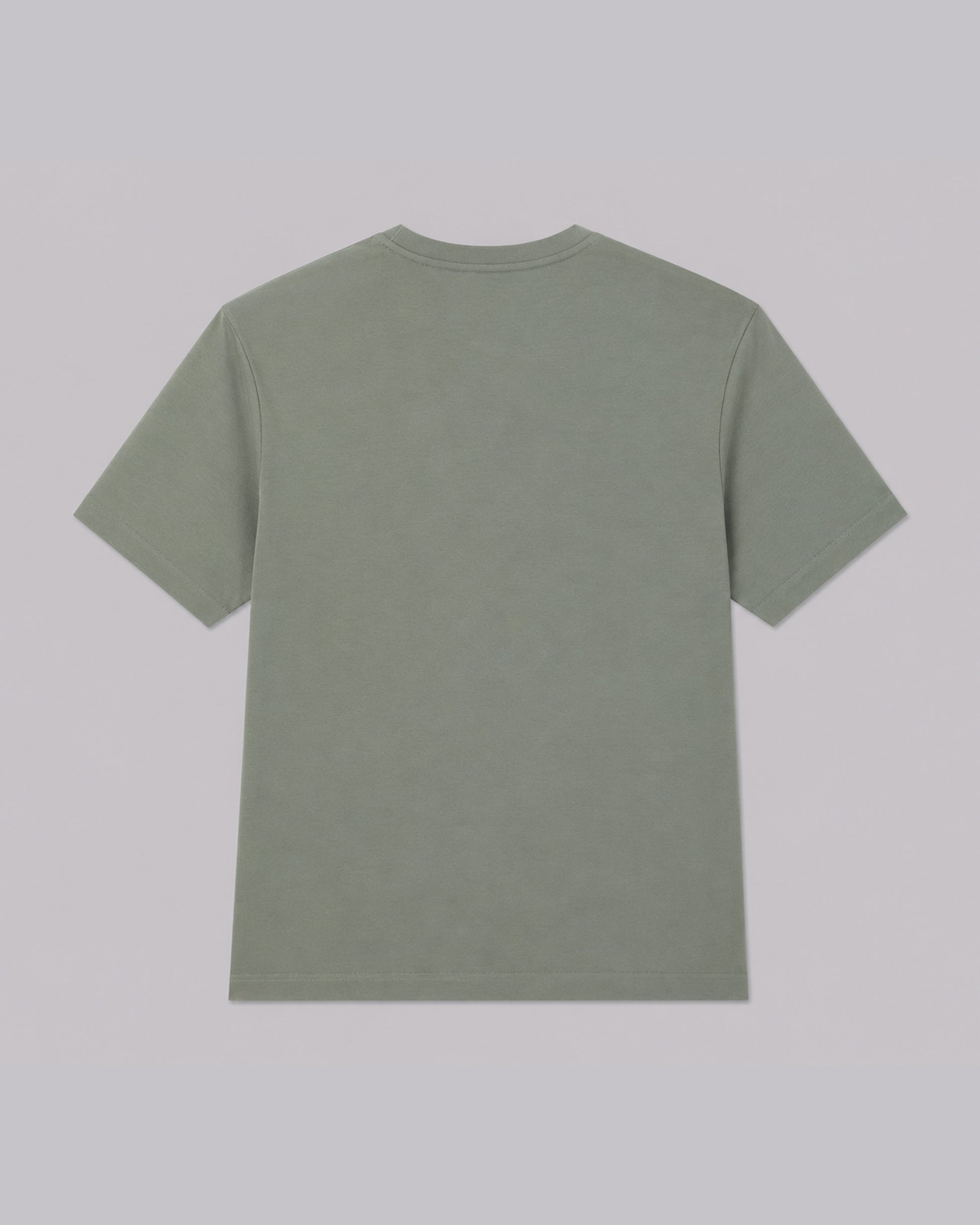 #color_castor-grey